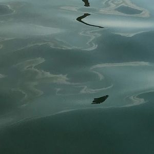 Meet your Posher, Jayden